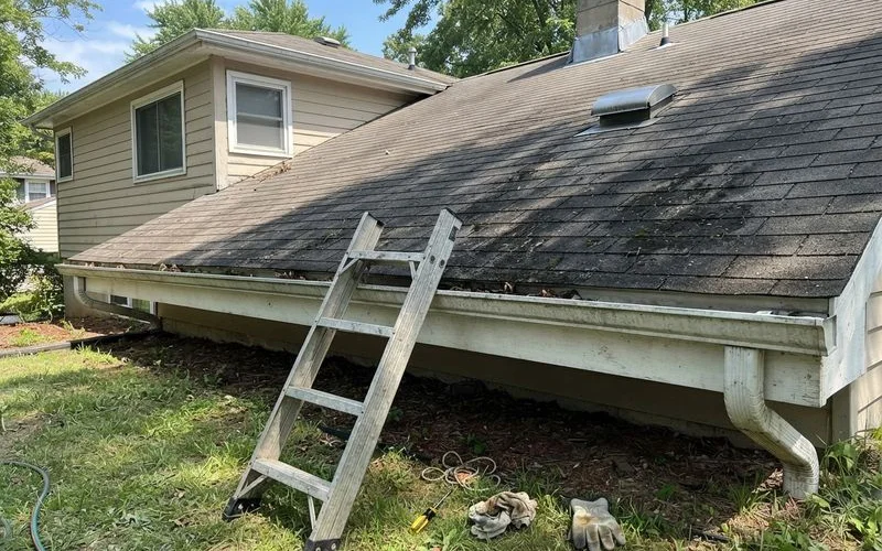 Dark algae streaks visible on an asphalt shingle roof in a shaded, tree covered area of a Columbia SC neighborhood